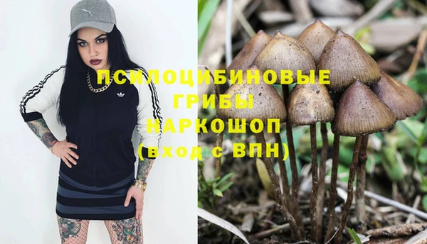 амф Алзамай